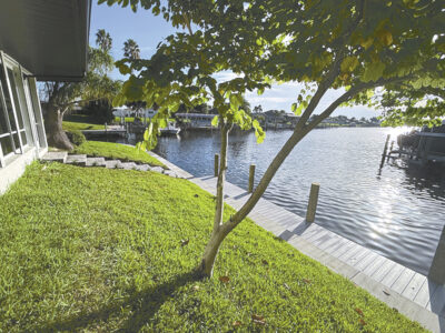 article image - JOHN R. WOOD CAPE OFFICE